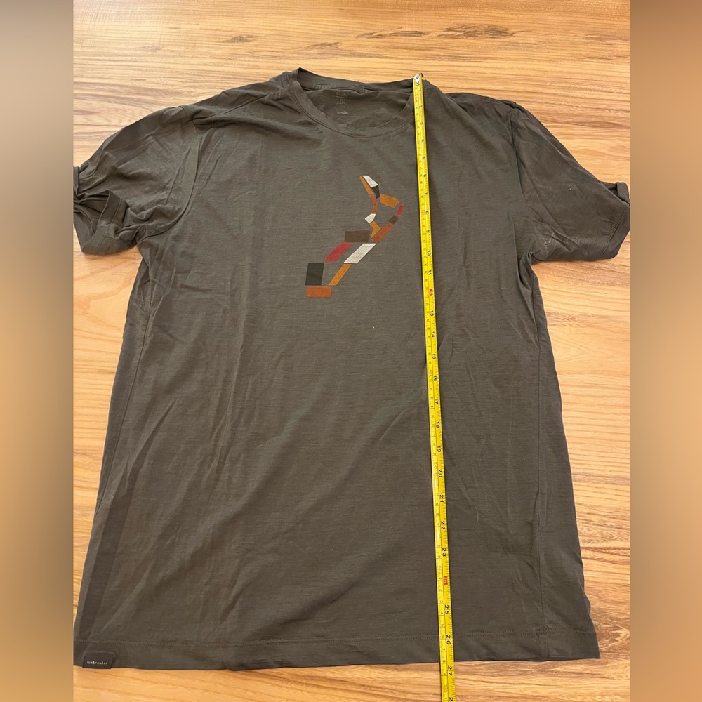 Men's gray icebreaker Graphic T-Shirt